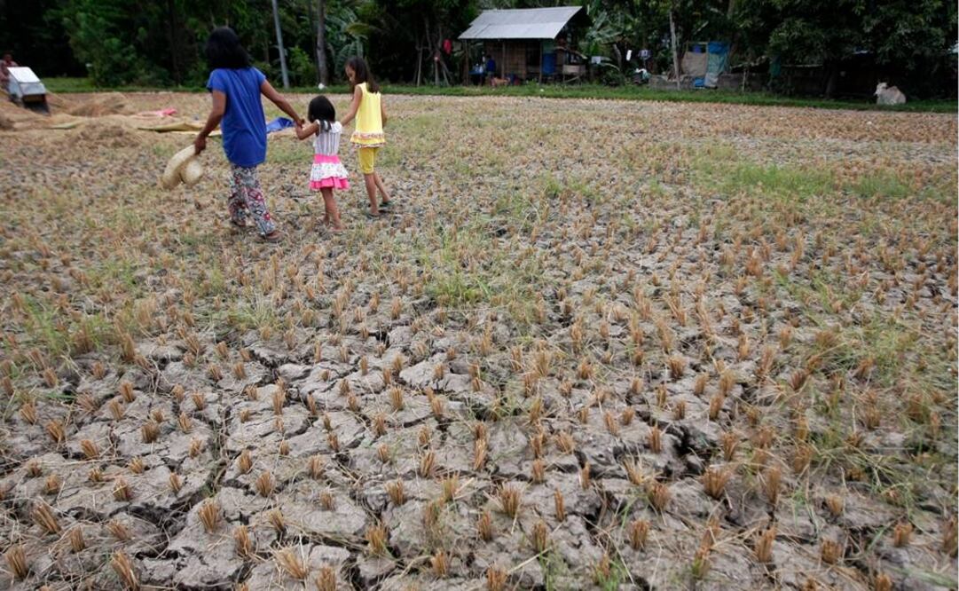 El convenio, que se firmará el 22 de abril, compromete a todos los países a presentar planes de acción a favor del clima y a actualizarlos cada cinco años, aunque esos planes no son legalmente obligatorios (Foto: EFE/Archivo)