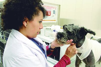 Se consolida Hospital Veterinario de CDMX