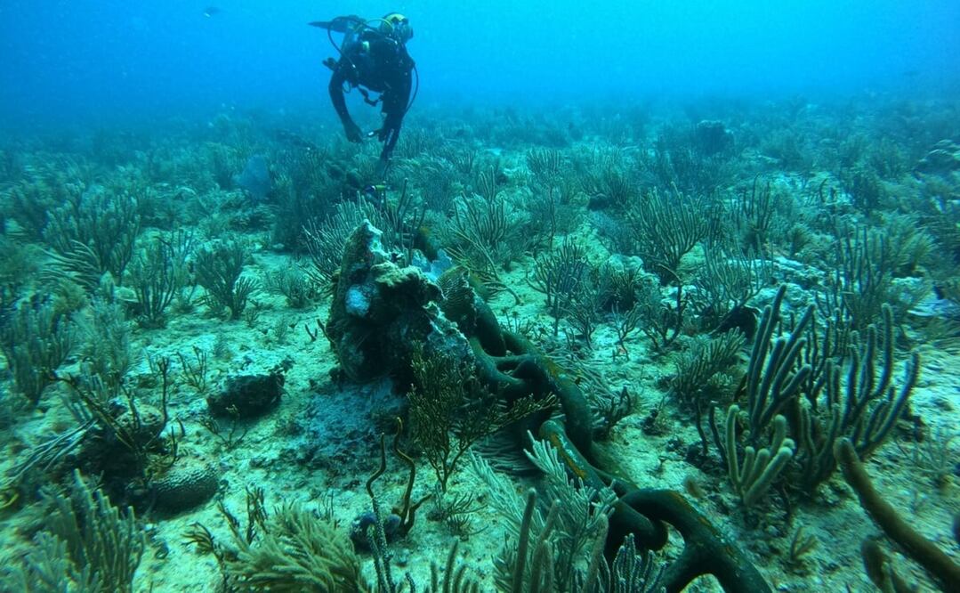 Fotos: Cortesía de Alberto Friscione