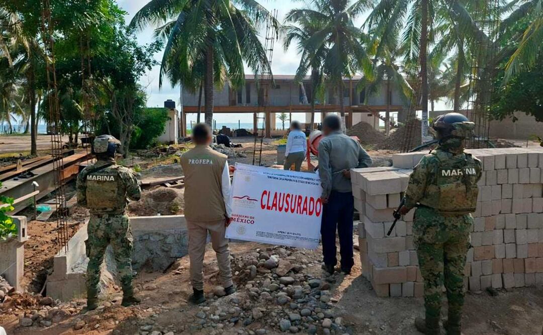 Profepa visita 14 estados por afectaciones a manglares (07/11/2025). Foto: Especial