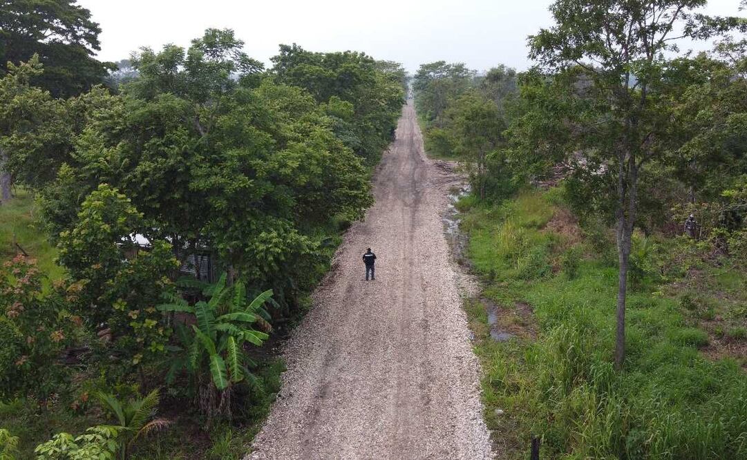 Foto: Diego Parado / EL UNIVERSAL