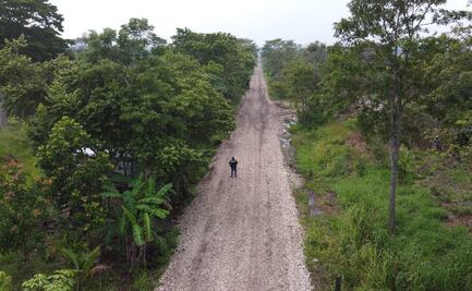 Tren Maya: Activistas hablan sobre "Sélvame Del Tren" y la intervención de famosos