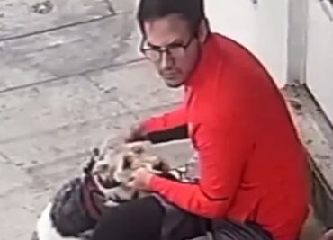 VIDEO: Captan a hombre golpeando a un perrito en la colonia Narvarte, CDMX