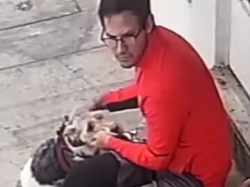 ¡Era el perrito de su pareja! Fiscalía integra carpeta contra sujeto que golpeó a un lomito en la Narvarte