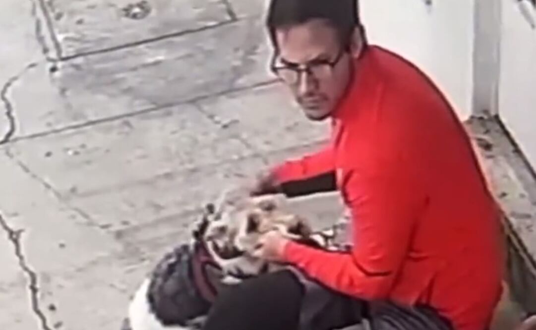 Sujeto que golpeó a un lomito en la Narvarte. Foto: Captura de video