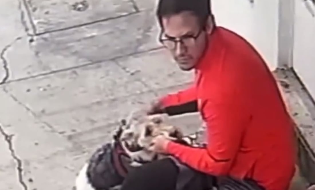 Sujeto que golpeó a un lomito en la Narvarte. Foto: Captura de video