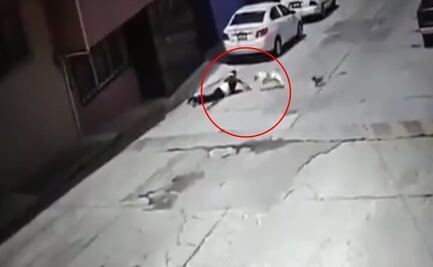 Perro pitbull ataca a adulta mayor en Puebla; dueños no quieren responder por las lesiones