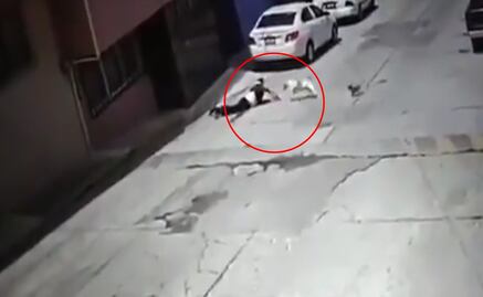 Perro pitbull ataca a adulta mayor en Puebla; dueños no quieren responder por las lesiones