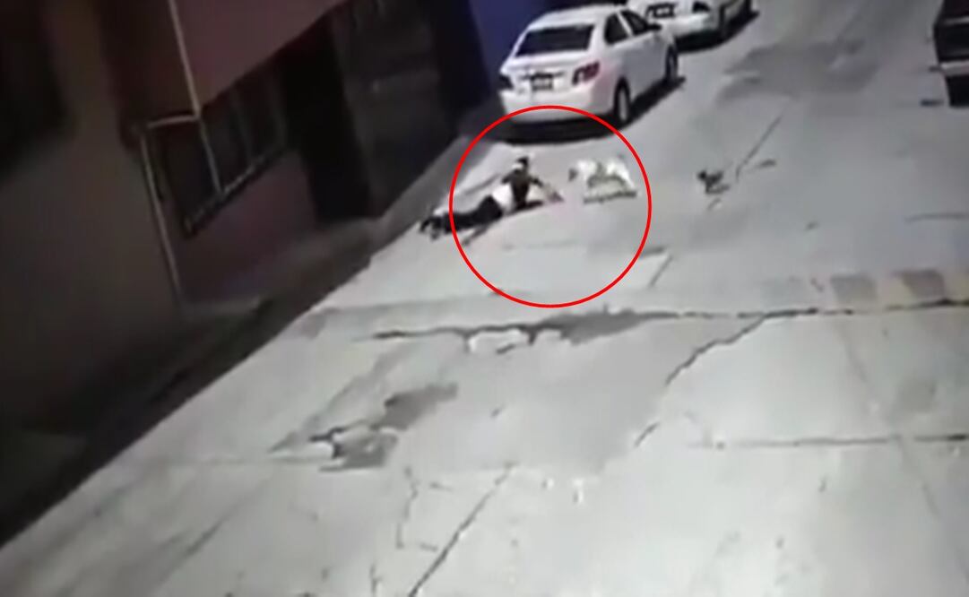 Foto: Captura de video/ El Universal/ La mujer cae al piso a consecuencia de las constantes mordidas del perro