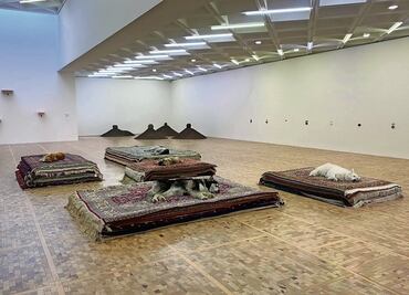 El performance "perrón" que terminó en gruñidos