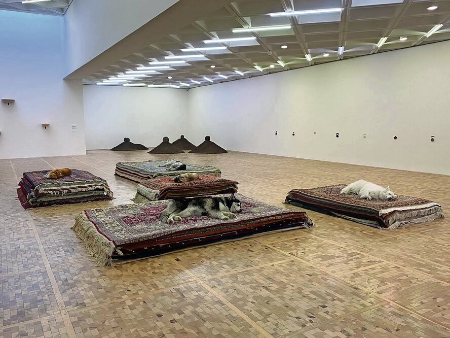 Performance Tragedy, de la artista Nina Beier, en el Museo Tamayo. Foto: del Inbal