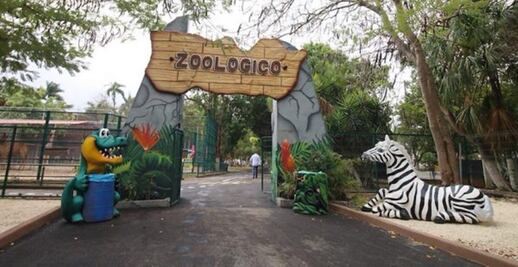 Por intenso calor, muere cebra en zoológico de Yucatán
