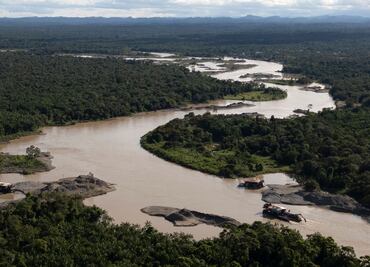 Biodiversidad en riesgo: la urgencia de financiar el futuro del planeta