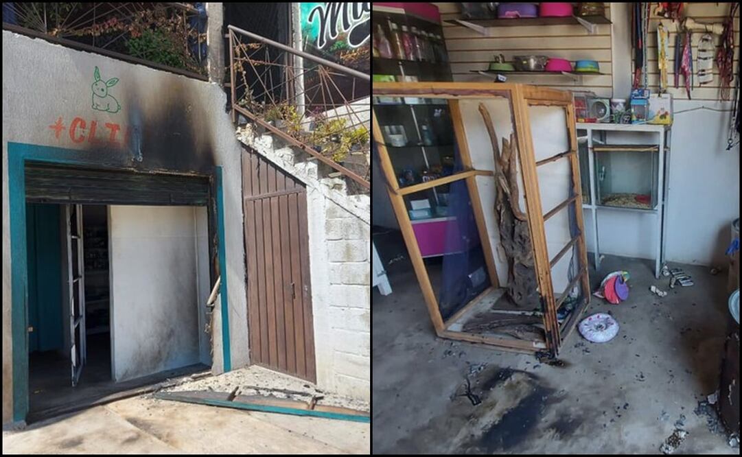 Fotos: Twitter @SSPPCSnAndresCH