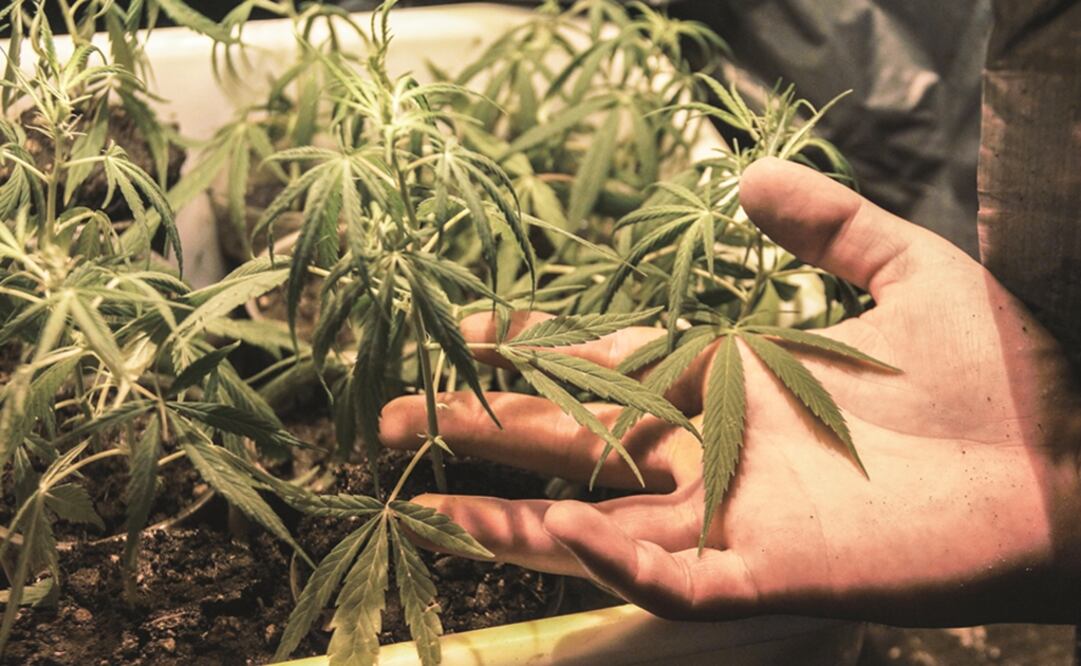 Foto: Archivo / EL UNIVERSAL