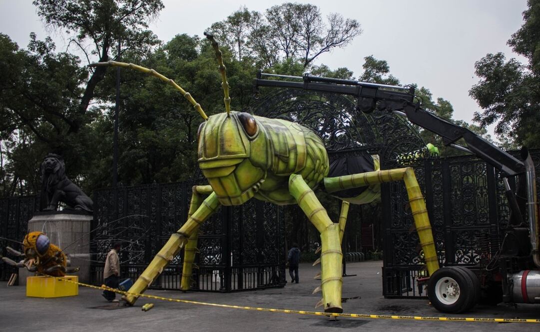 Festival INSECTA, del 14 al 17 de abril, se va a llevar a cabo en el Bosque de Chapultepec. Foto: Especial 