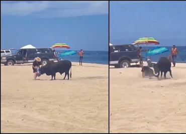 VIDEO: Toro embiste a una mujer en playa de Los Cabos, Baja California Sur