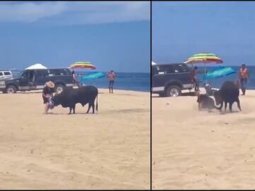VIDEO: Toro embiste a una mujer en playa de Los Cabos, Baja California Sur