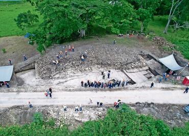 ONGs emiten recomendaciones a la Semarnat, Conafor y Profepa para rescatar bosques del crimen organizado y megaproyectos