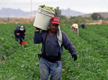 Impuesto criminal pega al campo y sube alimentos