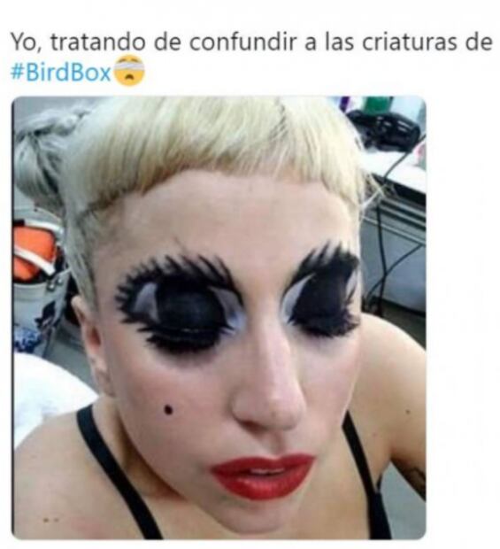 No más #BirdBoxChallenge pero los memes no paran
