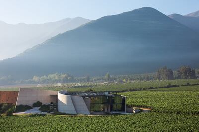  Las mejores rutas turísticas del vino, en Chile