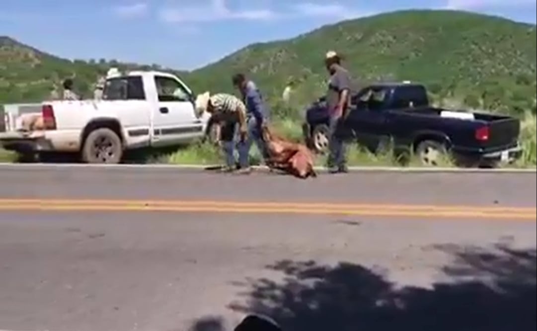 Imagen ilustrativa: Archivo/EL UNIVERSAL