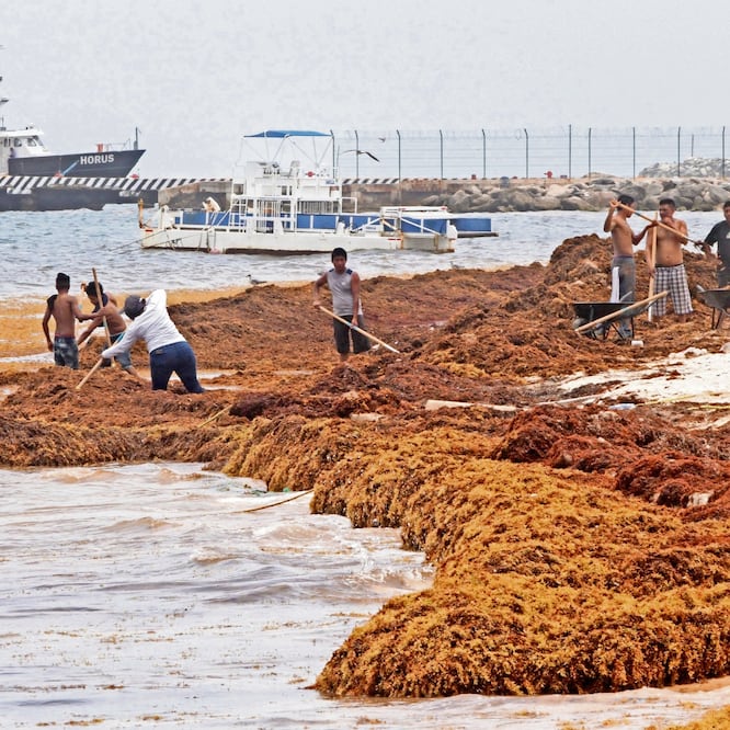 De acuerdo con el reporte de Quintana Roo, el gobierno estatal aportó 19 millones 973 mil pesos para reforzar los trabajos de limpieza en playas el año pasado. ALONSO CUPUL. EFE