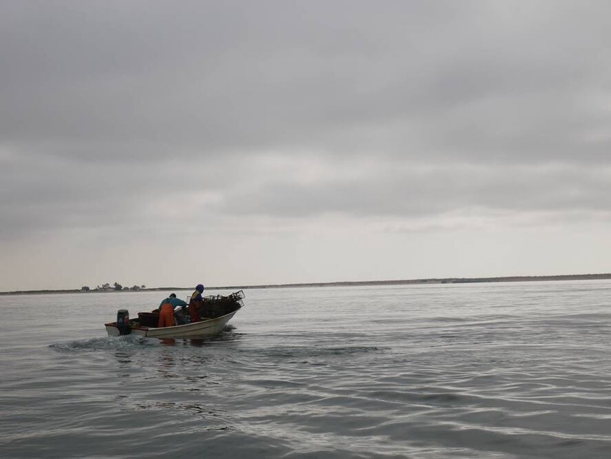 Pescadores en Puerto Adolfo López Mateos, Baja California Sur. Se trata de una pequeña comunidad sobre el Pacífico. (INICIATIVA DATA MARES)