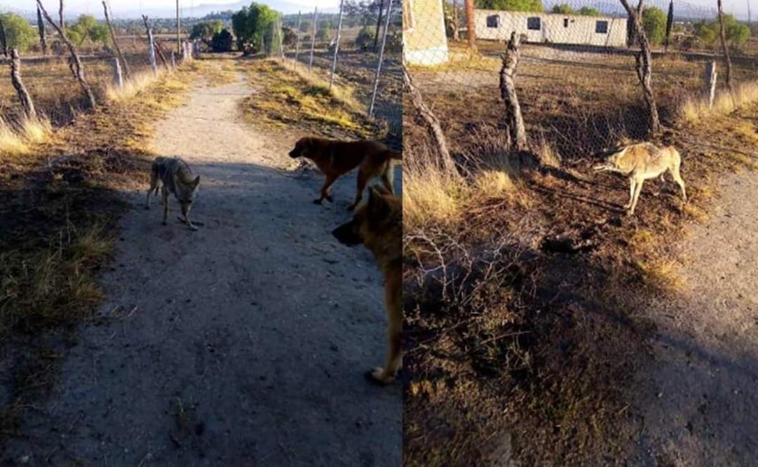 Familiares dijeron que el hombre tenía problemas de alcoholismo, aunque todavía no se determinan las causas de su muerte. Foto: Especial