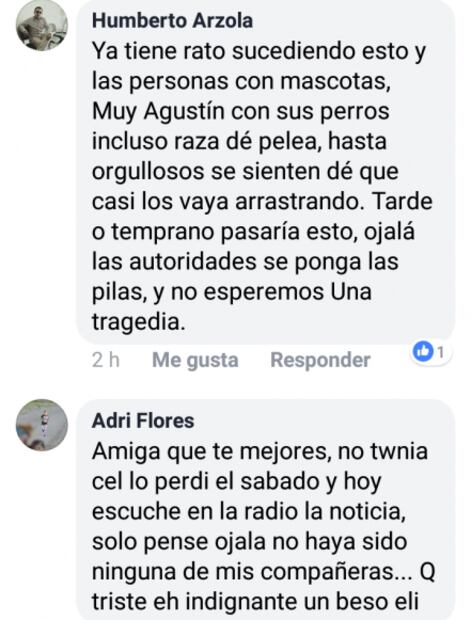 Perro ataca a mujer en el malecón de La Paz, Baja California Sur