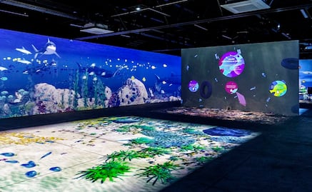 Cómo es y dónde está el acuario virtual de CDMX