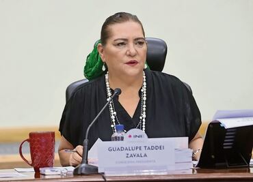 Espera INE participación de hasta 20% en elección judicial