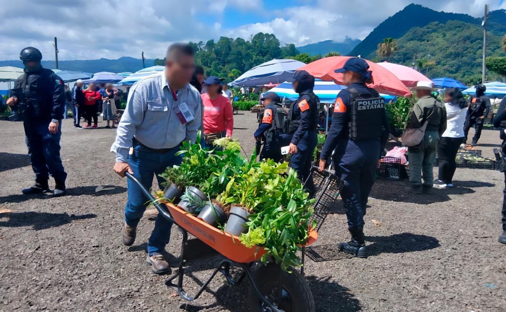 Profepa asegura 150 orquídeas y otras 21 plantas en tianguis de Puebla (05/08/2026). Foto: Especial