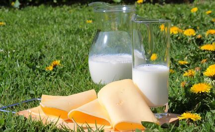 EU y Canadá retoman diálogo por disputa de lácteos e impuesto digital