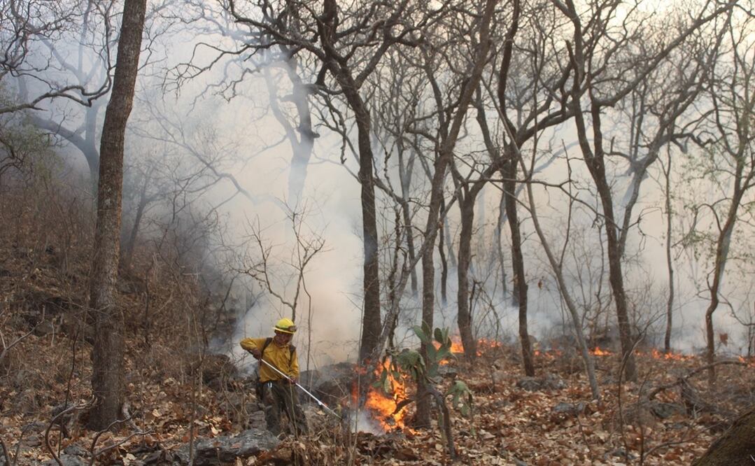 Los combatientes también reportaron avances en otros tres incendios en el paraje “Oxotitla” de la comunidad de Santa Catarina, Tepoztlán, donde se logró el 90 por ciento de control y 80 por ciento de liquidación. Foto: Especial