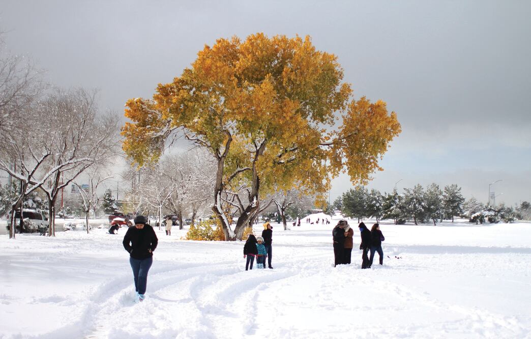 Los estados de la franja norte permanecen en alerta desde hace varios días por el viento y la nieve, que han provocado el corte de carreteras y cancelación de algunos vuelos (EFE)