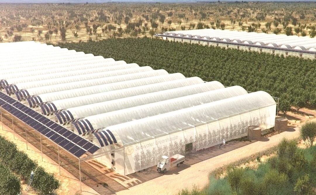 Foto: Archivo/EL UNIVERSAL