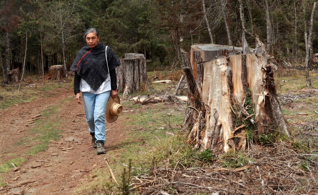 Fotos: Diego Prado/ El Universal.