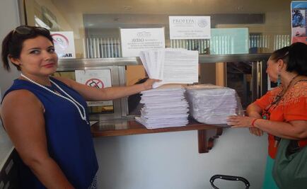 Interponen más de 4 mil denuncias por tala de manglares en Cancún