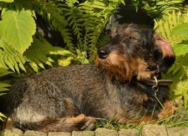 ¿A qué hora hará más calor en la CDMX este jueves 19 de octubre?