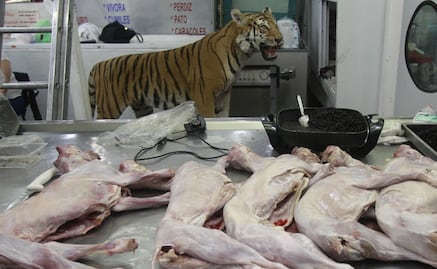 Consumo de carne no convencional ayuda a conservar especies animales