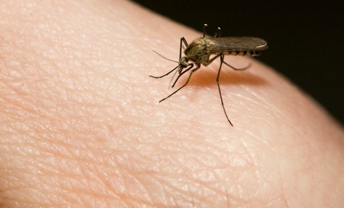 Los mexicanos no suelen cambiar un itinerario de viaje por la presencia de enfermedades, a menos que sea una epidemia grave. (Foto: iStock Photo)