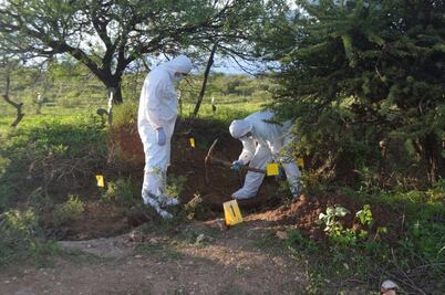 Hallan cuatro fosas clandestinas en Zacatecas