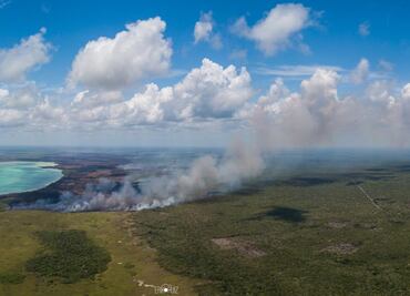 Controlan tres incendios forestales en Quintana Roo