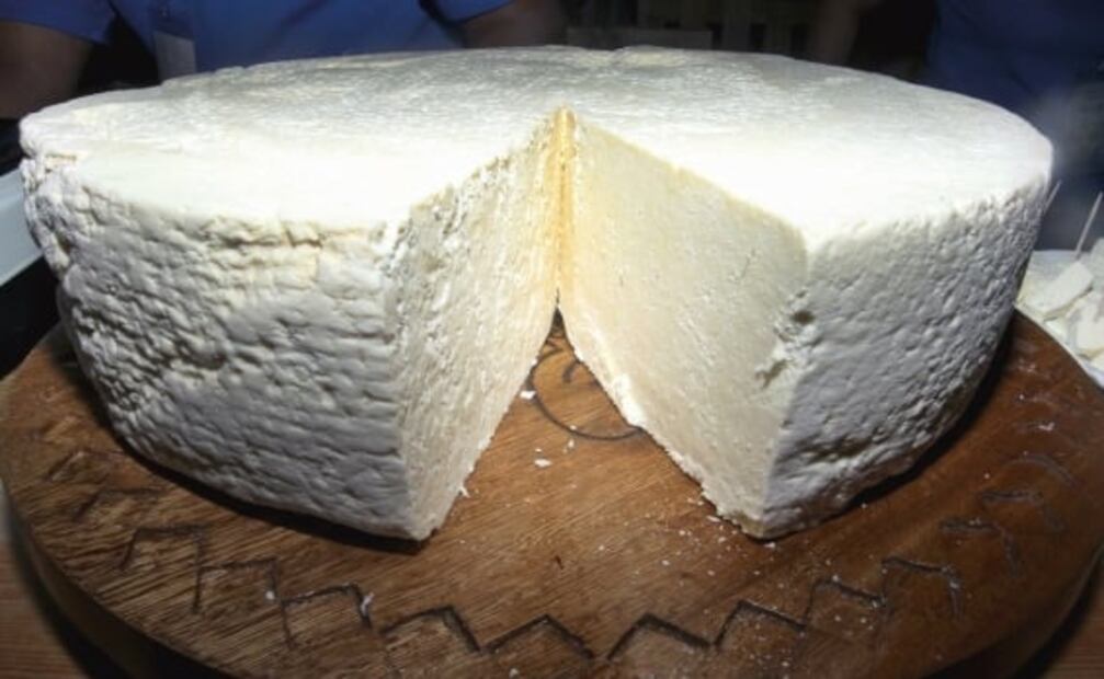 ¿Qué es la brucelosis? Síntomas, causas y cómo tratar la enfermedad