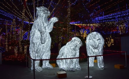 Colocan iluminación navideña en Six Flags