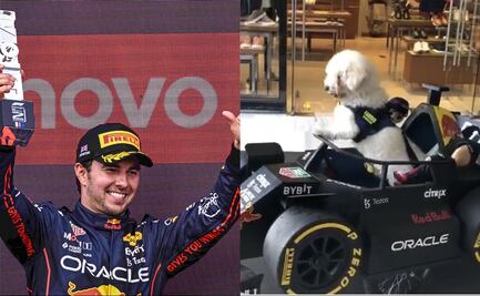 "¡Se logró!": Perrito fan de la F1 conocerá a Checo Pérez en el GP de México