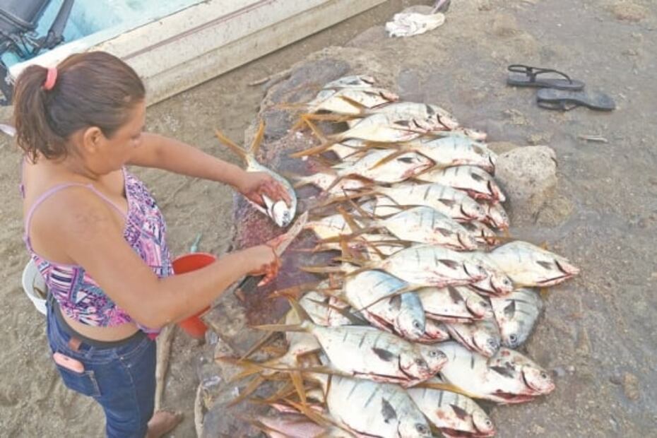 Puerto Ángel pierde turismo y la pesca