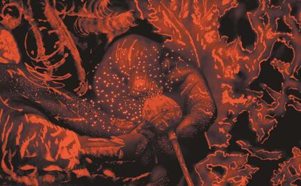 El Centro de la Imagen exhibe "DPV. La guerra fallida"